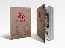 上海嘉定非物質遺產畫冊